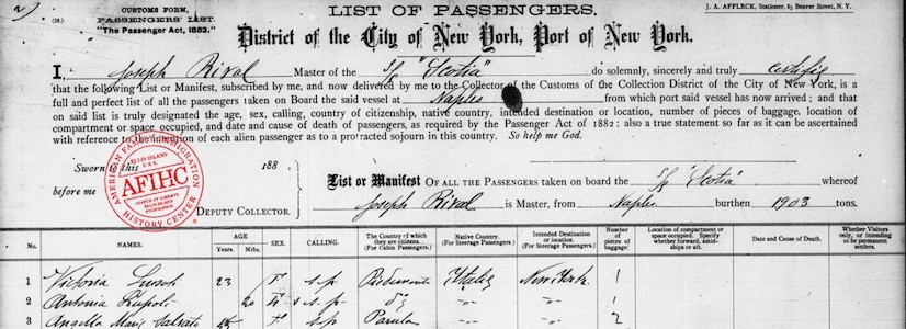 1903 passenger list into New York