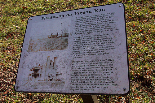 Pigeon Run