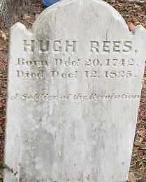 Hugh Rees