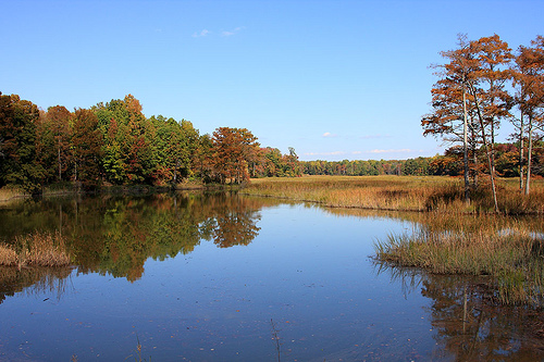 Lawnes Creek